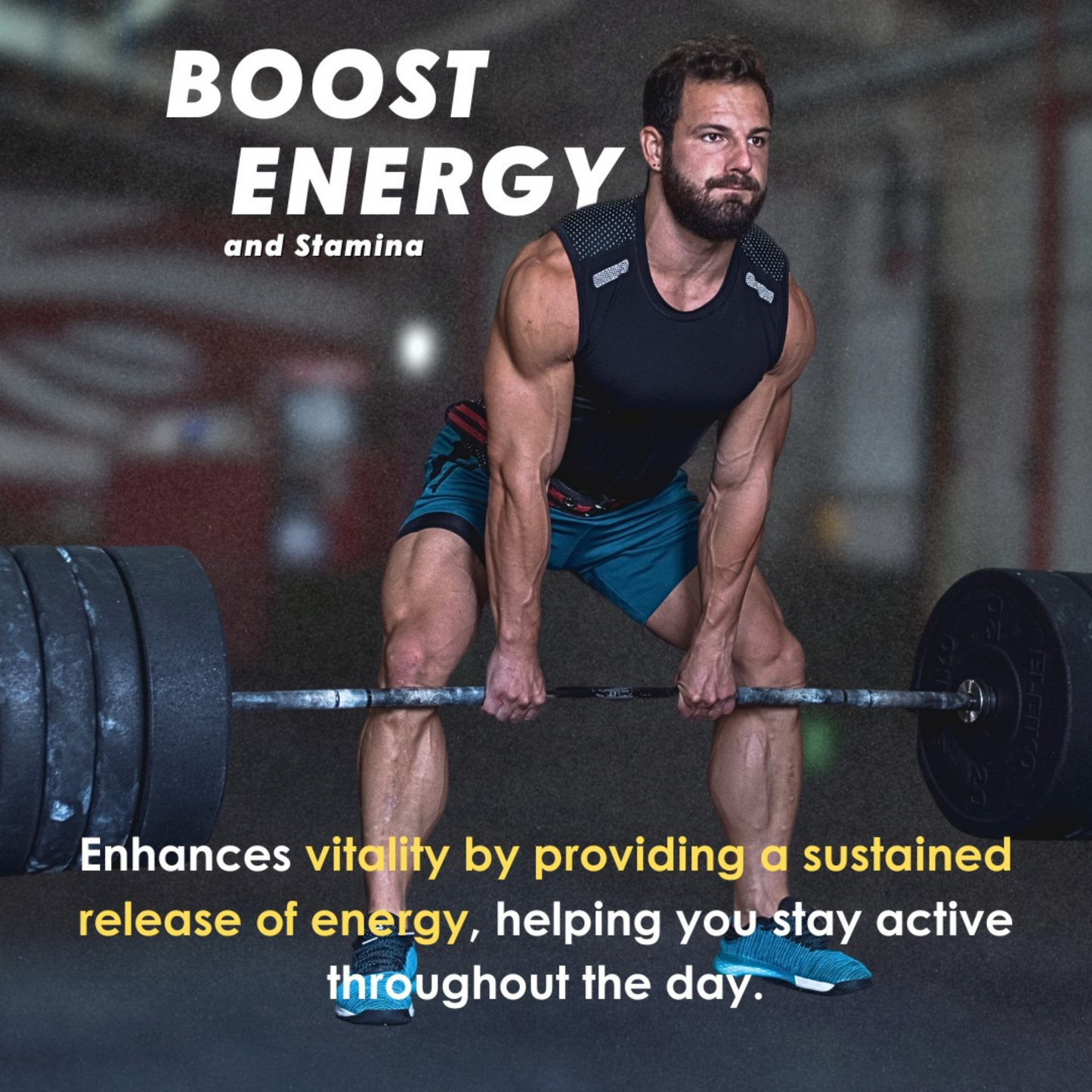 Aanvik Premium Shilajit Resin - Boost Performance | Power, Stamina |Strength | Lab Tested | 100% Pure & Ayurvedic
